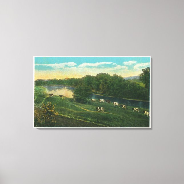 Impressão Em Tela MaineView da Ligação de Homeward de Vacas (Frente)