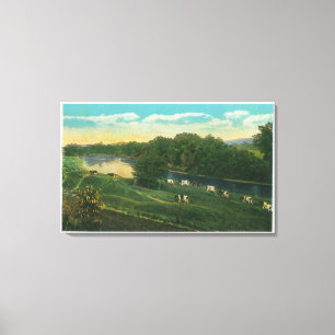 Impressão Em Tela MaineView das vacas limitadas Homeward