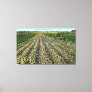 Impressão Em Tela MaineView de uma fazenda da batata em Maine