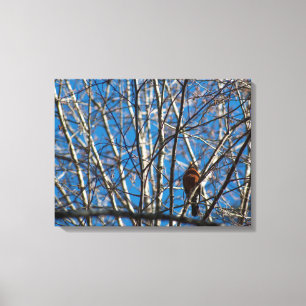 Impressão Em Tela Mais alto para cima