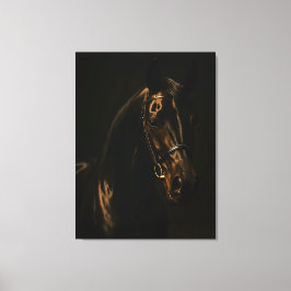 Impressão Em Tela Majestätischer Fuchsbrauner Hengst im Dunkeln