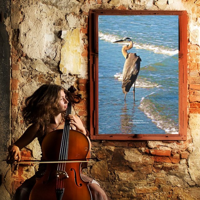 Impressão Em Tela Majexpressa Heron Bird Ocean Waves Flórida EUA (Criador carregado)