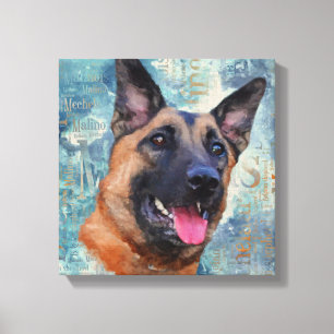 Impressão Em Tela Malinois - pastor belga - Mechelaar