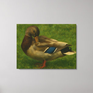 Impressão Em Tela Mallard Duck na Luz dos Prados