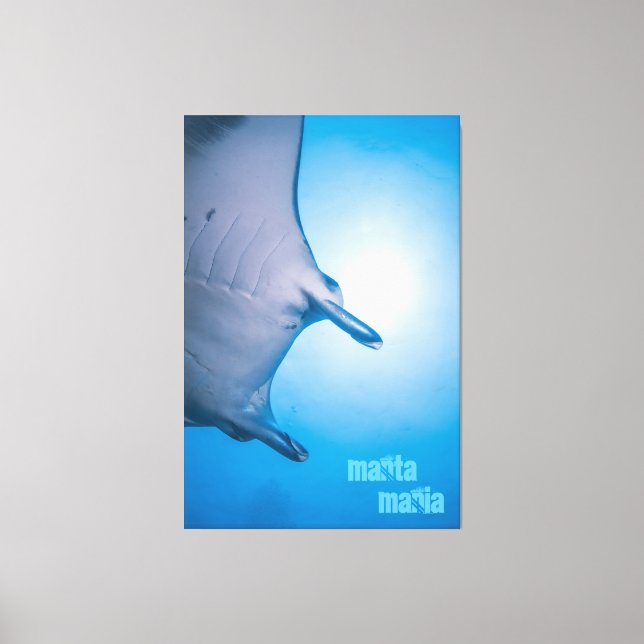 Impressão Em Tela Manta ray (Frente)
