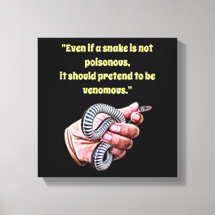 Impressão Em Tela mão segurando cobra de bebê citar répteis arte