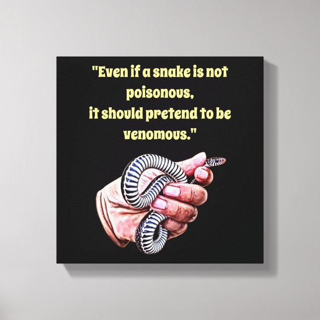 Impressão Em Tela mão segurando cobra de bebê citar répteis arte (Frente)