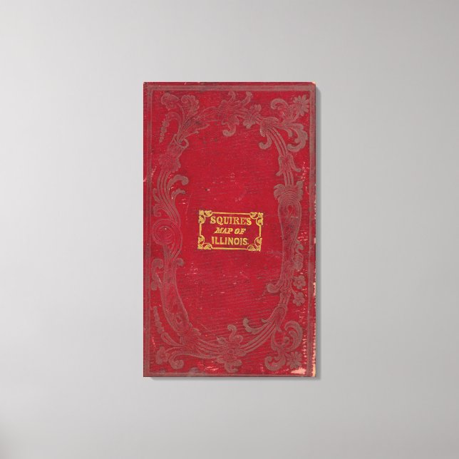 Impressão Em Tela Mapa de Illinois 2 (Frente)