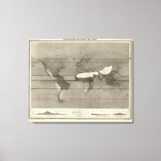 Impressão Em Tela Mapa Mundial de Precipitação (Frente)