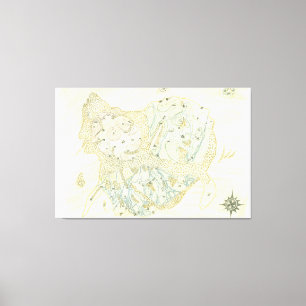 Impressão Em Tela Mapa não rotulado de Trino