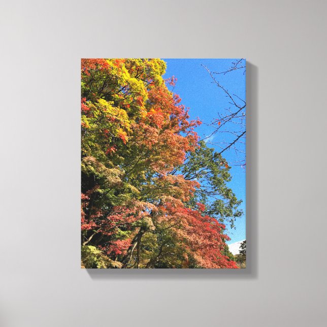 Impressão Em Tela Mapeamentos Coloridos Vibrantes (Frente)