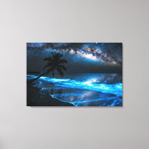 Mar de Estrelas Bioluorescência - Vaadhoo Maldivas