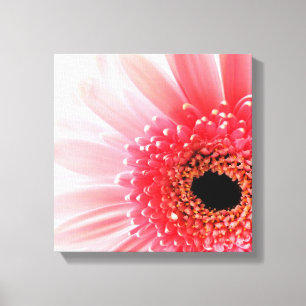 Impressão Em Tela Margarida Gerbera