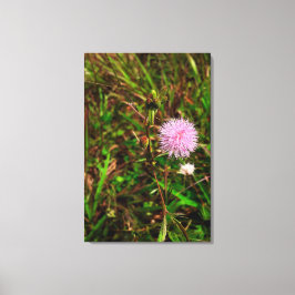 Impressão Em Tela Maria-fecha-a-porta