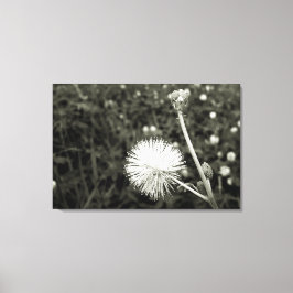 Impressão Em Tela Maria fecha a porta - Com Broto