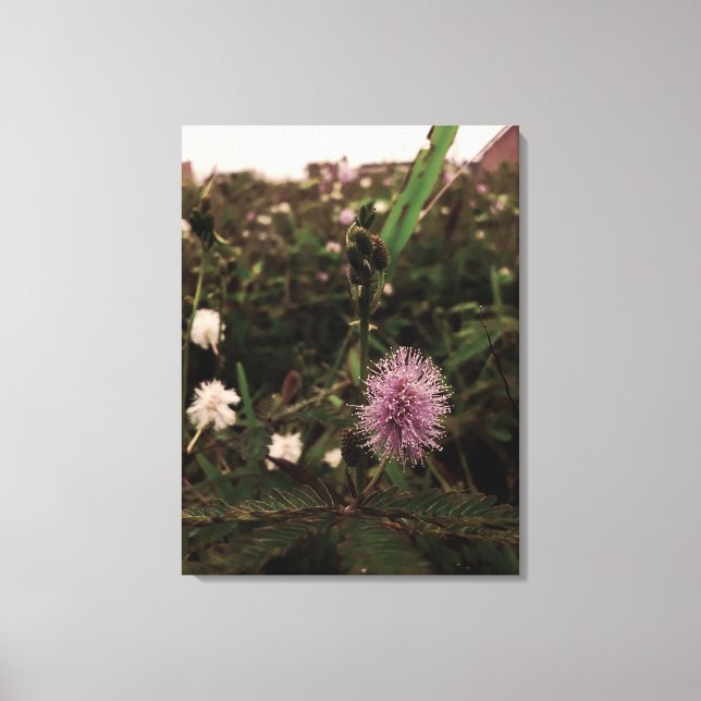 Impressão Em Tela Maria-fecha-a-porta - ROSA (Frente)