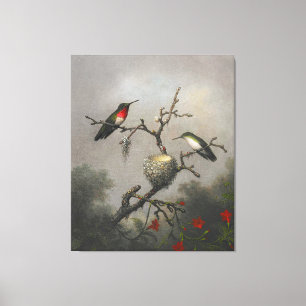 Impressão Em Tela MARTIN J. HEADE - Hummingbird com garganta rubi -