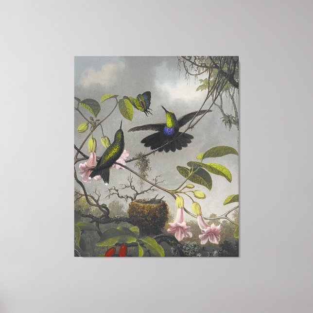 Impressão Em Tela MARTIN J. HEADE - Linda-de-coleira-branca - 1863-6 (Frente)