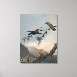 Impressão Em Tela MARTIN J. HEADE Starthroat torrado em estilhaço (1