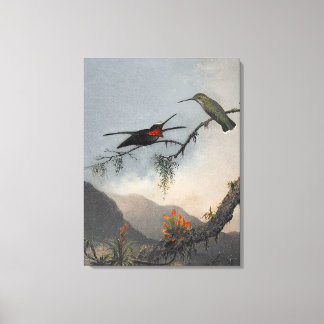Impressão Em Tela MARTIN J. HEADE Starthroat torrado em estilhaço (1