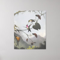 MARTIN JOHNSON HEADE - Ametyst Woodstar - 1863-64