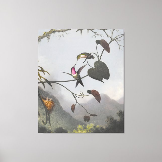 Impressão Em Tela MARTIN JOHNSON HEADE - Ametyst Woodstar - 1863-64 (Frente)