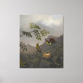 Impressão Em Tela MARTIN JOHNSON HEADE - Coquete Frilled - 1863-64
