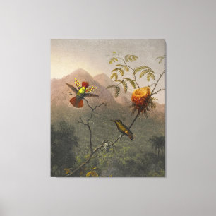 Impressão Em Tela MARTIN JOHNSON HEADE - Coquete Tufted - 1863-64 -