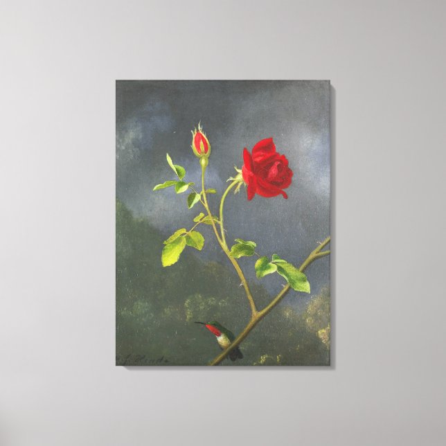 Impressão Em Tela MARTIN JOHNSON HEADE - Rosa vermelha com Ruby Thro (Frente)