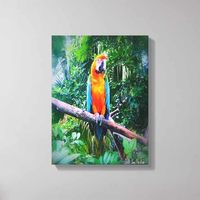 Impressão Em Tela Martinique Macaw (Frente)