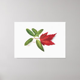 Impressão Em Tela Mary Vaux Walcott painting