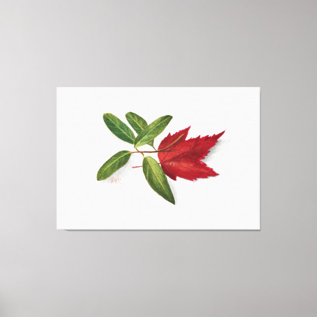 Impressão Em Tela Mary Vaux Walcott painting (Frente)