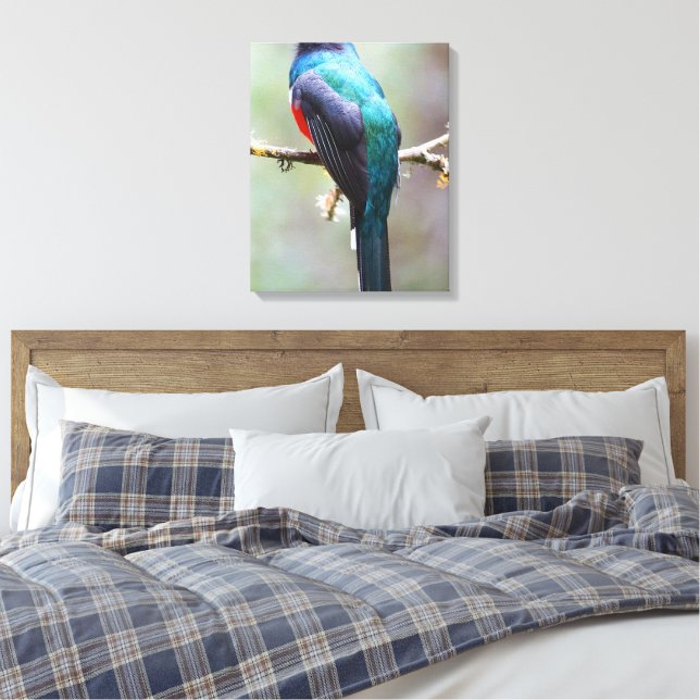 Impressão Em Tela Mascarado Trogon (Insitu(Quarto))