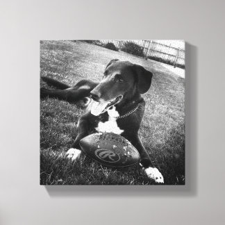 Impressão Em Tela maverick