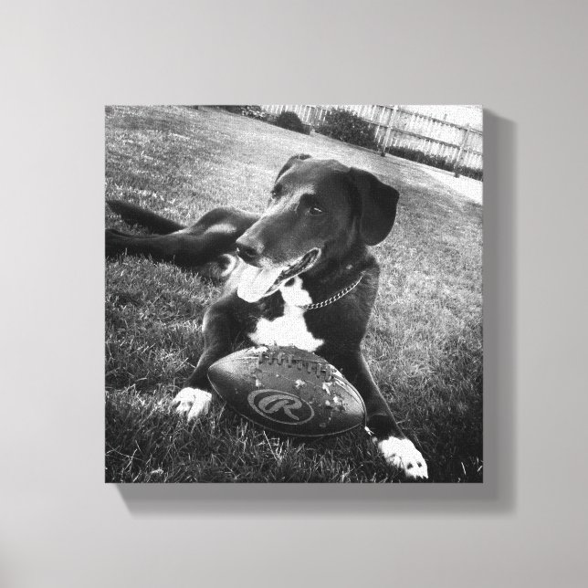 Impressão Em Tela maverick (Frente)