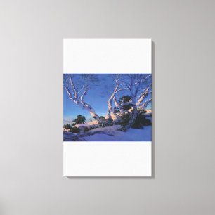 Impressão Em Tela Maxfield Parrish - Pássaros no inverno