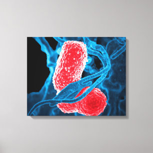 Impressão Em Tela (MDR) Biologia da arte abstracta dos pneumoniae do