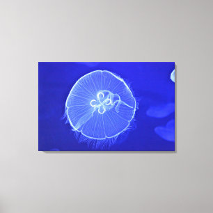 Impressão Em Tela medusa 2