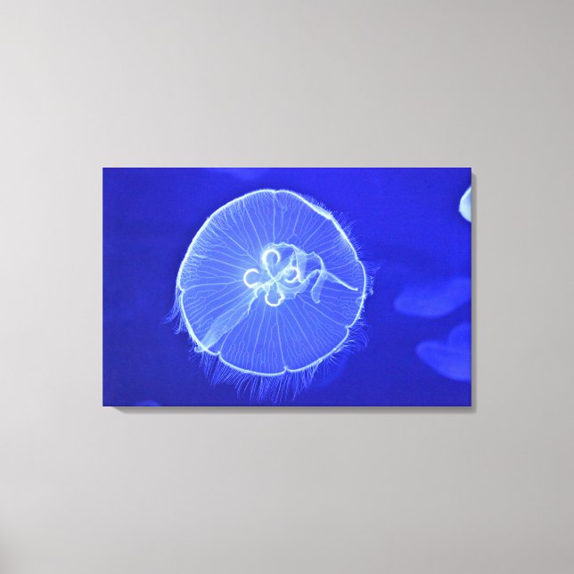 Impressão Em Tela medusa 2 (Frente)