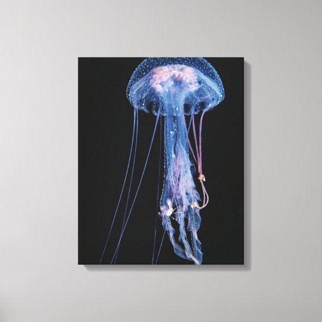 Impressão Em Tela medusa luminescente (Frente)