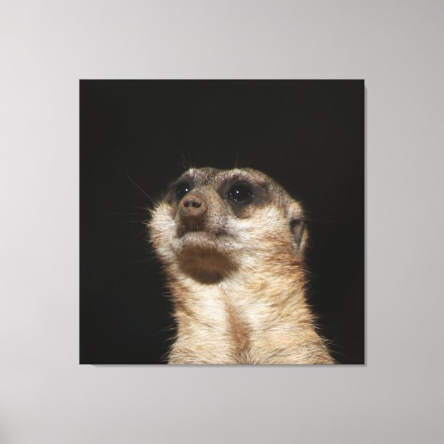 Impressão Em Tela Meerkat 032 (Frente)