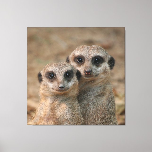 Impressão Em Tela Meerkat 033 (Frente)