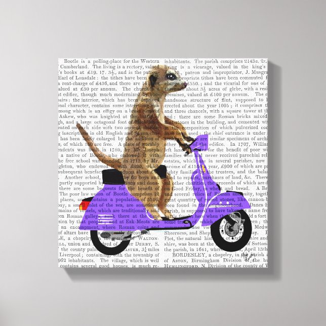 Impressão Em Tela Meerkat em Lilac Moped (Frente)