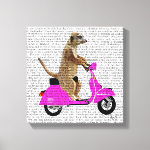 Impressão Em Tela Meerkat em Moped Rosa