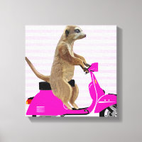 Meerkat em Moped Rosa