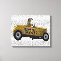 Meerkat no Hot Rod