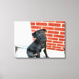 Impressão Em Tela Meia-Noite De Humor Penoso