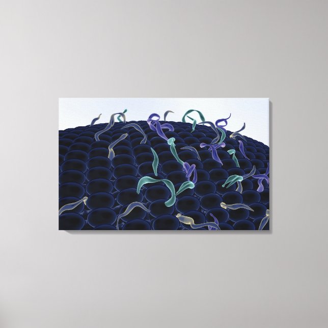 Impressão Em Tela Membrana celular amplificada (Frente)