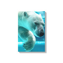 Mergulho do Urso Polar em Água Azul Clara (Retrato