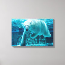 Mergulho do Urso Polar na Água Azul Clara (Paisage